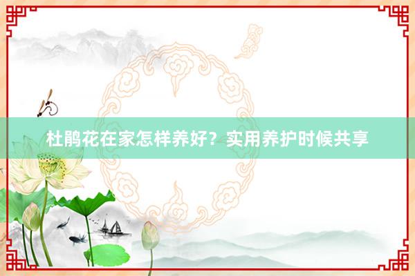 杜鹃花在家怎样养好?实用养护时候共享